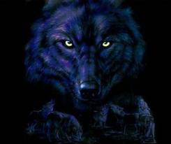 wolves dark